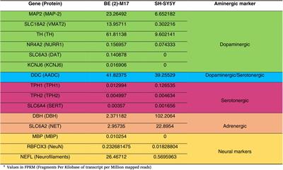 The BE (2)-M17 neuroblastoma cell line: revealing its potential as a cellular model for Parkinson’s disease